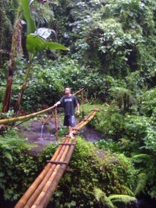 Bali Rainforest